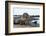 Galapagos Sea Lion (Zalophus Wollebaeki) Baby On Coastal Volcanic Rock. James Bay, Galapagos, June-Tui De Roy-Framed Photographic Print