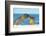 Galapagos Sea Lion (Zalophus Wollebaeki) Mother and Young Touching Noses, Galapagos Islands, May-Ben Hall-Framed Photographic Print