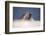 Galapagos sea lions interacting on sand, Galapagos, Ecuador-Ross Hoddinott-Framed Photographic Print