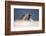 Galapagos sea lions interacting on sand, Galapagos, Ecuador-Ross Hoddinott-Framed Photographic Print