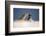 Galapagos sea lions interacting on sand, Galapagos, Ecuador-Ross Hoddinott-Framed Photographic Print