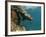 Galapagos Sealion, Gardner Bay, Española Island, Galapagos Islands, Ecuador-Pete Oxford-Framed Photographic Print