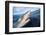 Galapagos shark at sea surface, Hawaii-David Fleetham-Framed Photographic Print