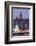 Galata Bridge, Istanbul, Turkey, Europe-Richard Cummins-Framed Photographic Print