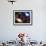 Galaxies and Nebulas of Outer Space-Randall Fung-Framed Photographic Print displayed on a wall