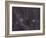 Galaxies M81 And M82 As Seen Through the Intergalactic Flux Nebula-Stocktrek Images-Framed Photographic Print