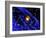 Galaxy Formation, Computer Artwork-Mehau Kulyk-Framed Photographic Print