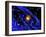 Galaxy Formation, Computer Artwork-Mehau Kulyk-Framed Photographic Print