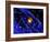 Galaxy Formation, Computer Artwork-Mehau Kulyk-Framed Photographic Print