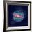 Galaxy One-Tina Lavoie-Framed Giclee Print