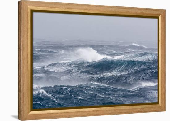 Gale Force Westerly Winds Build Large Waves in the Drake Passage, Antarctica, Polar Regions-Michael Nolan-Framed Premier Image Canvas