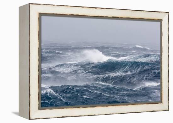Gale Force Westerly Winds Build Large Waves in the Drake Passage, Antarctica, Polar Regions-Michael Nolan-Framed Premier Image Canvas