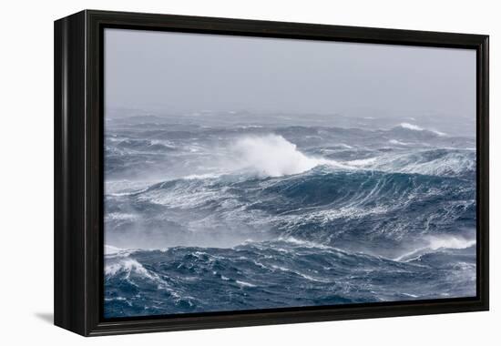 Gale Force Westerly Winds Build Large Waves in the Drake Passage, Antarctica, Polar Regions-Michael Nolan-Framed Premier Image Canvas