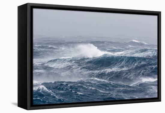 Gale Force Westerly Winds Build Large Waves in the Drake Passage, Antarctica, Polar Regions-Michael Nolan-Framed Premier Image Canvas