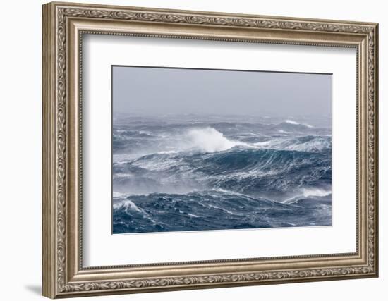 Gale Force Westerly Winds Build Large Waves in the Drake Passage, Antarctica, Polar Regions-Michael Nolan-Framed Photographic Print