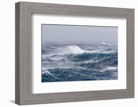 Gale Force Westerly Winds Build Large Waves in the Drake Passage, Antarctica, Polar Regions-Michael Nolan-Framed Photographic Print