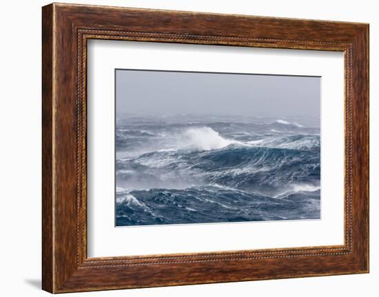 Gale Force Westerly Winds Build Large Waves in the Drake Passage, Antarctica, Polar Regions-Michael Nolan-Framed Photographic Print