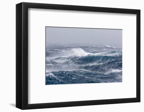 Gale Force Westerly Winds Build Large Waves in the Drake Passage, Antarctica, Polar Regions-Michael Nolan-Framed Photographic Print