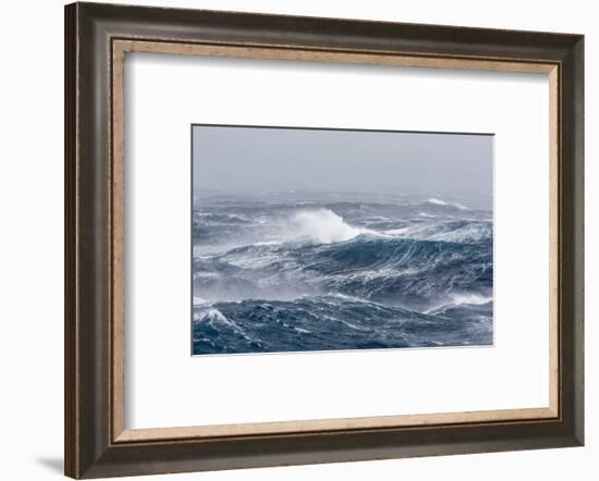 Gale Force Westerly Winds Build Large Waves in the Drake Passage, Antarctica, Polar Regions-Michael Nolan-Framed Photographic Print