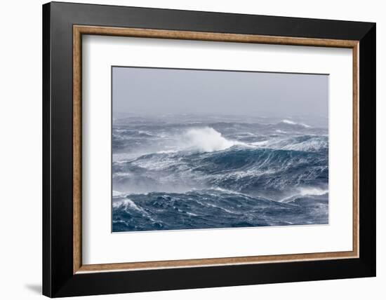 Gale Force Westerly Winds Build Large Waves in the Drake Passage, Antarctica, Polar Regions-Michael Nolan-Framed Photographic Print