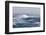 Gale Force Westerly Winds Build Large Waves in the Drake Passage, Antarctica, Polar Regions-Michael Nolan-Framed Photographic Print