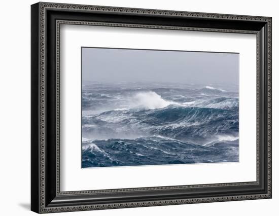 Gale Force Westerly Winds Build Large Waves in the Drake Passage, Antarctica, Polar Regions-Michael Nolan-Framed Photographic Print