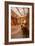 Galerie Vivienne in Paris, France, Europe-Julian Elliott-Framed Photographic Print