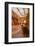 Galerie Vivienne in Paris, France, Europe-Julian Elliott-Framed Photographic Print