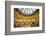 Galeries Lafayette, Paris, France, Europe-Neil Farrin-Framed Photographic Print