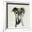 Galgo Espanol-Sally Muir-Framed Giclee Print