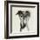 Galgo Espanol-Sally Muir-Framed Giclee Print