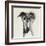 Galgo Espanol-Sally Muir-Framed Giclee Print