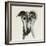 Galgo Espanol-Sally Muir-Framed Giclee Print