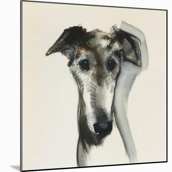 Galgo Espanol-Sally Muir-Mounted Giclee Print