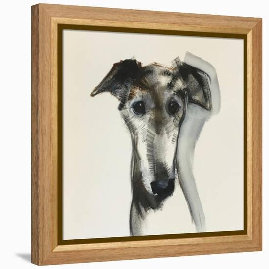 Galgo Espanol-Sally Muir-Framed Premier Image Canvas