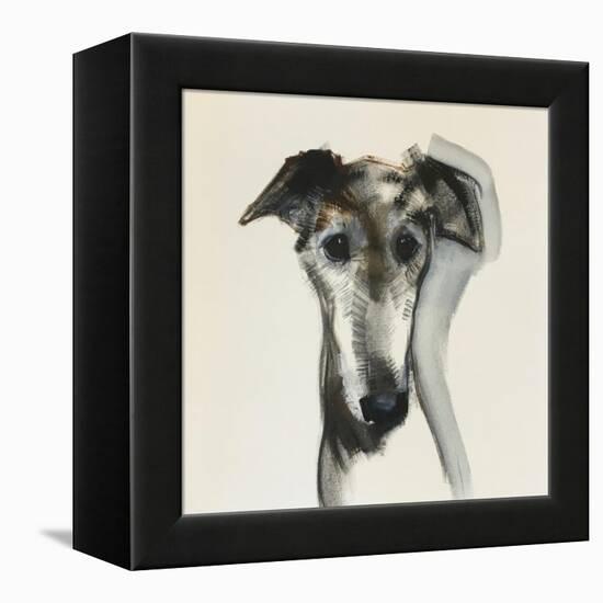 Galgo Espanol-Sally Muir-Framed Premier Image Canvas