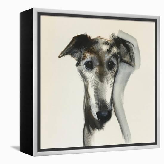 Galgo Espanol-Sally Muir-Framed Premier Image Canvas