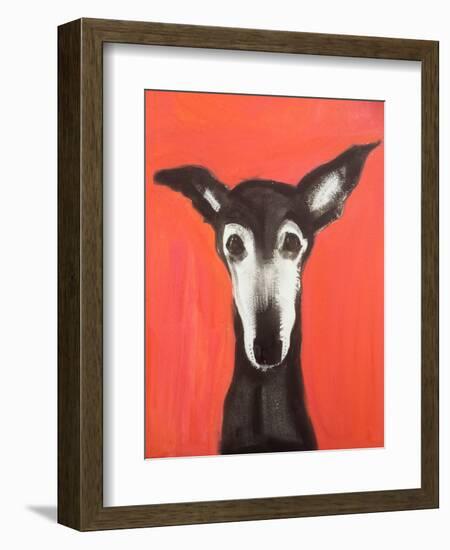 Galgo on Red-Sally Muir-Framed Giclee Print