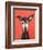 Galgo on Red-Sally Muir-Framed Giclee Print