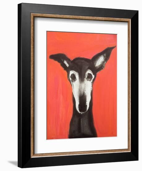 Galgo on Red-Sally Muir-Framed Giclee Print