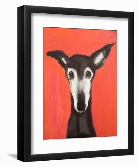 Galgo on Red-Sally Muir-Framed Giclee Print