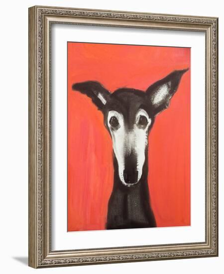 Galgo on Red-Sally Muir-Framed Giclee Print