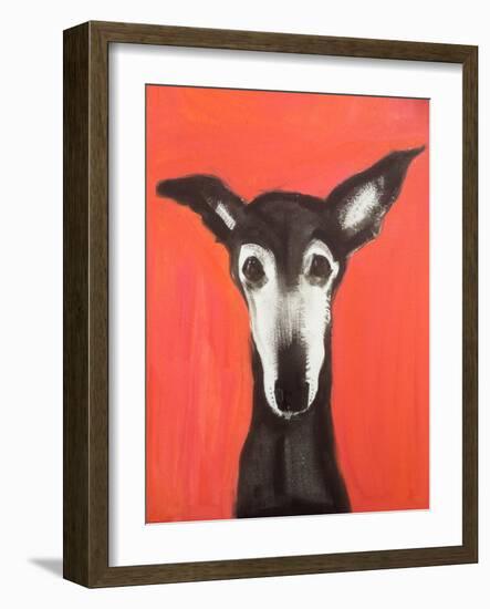 Galgo on Red-Sally Muir-Framed Giclee Print