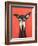 Galgo on Red-Sally Muir-Framed Giclee Print