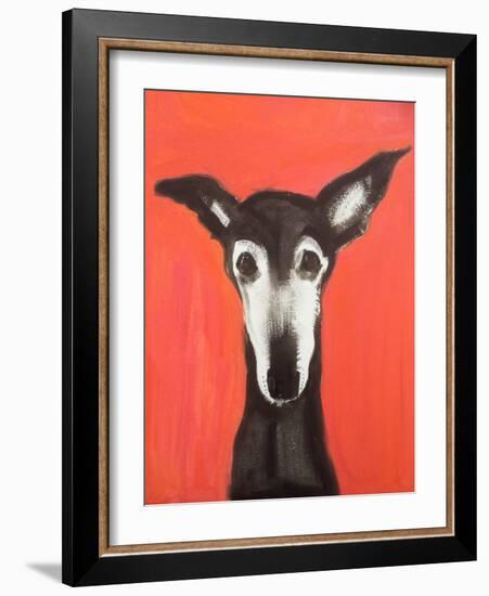 Galgo on Red-Sally Muir-Framed Giclee Print