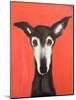 Galgo on Red-Sally Muir-Mounted Giclee Print