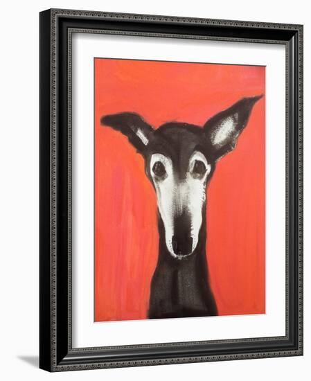 Galgo on Red-Sally Muir-Framed Giclee Print