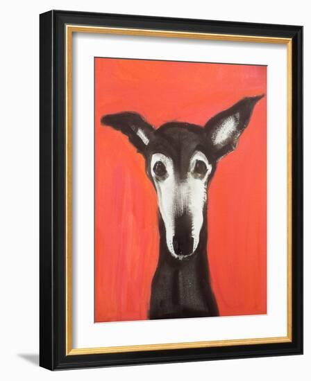 Galgo on Red-Sally Muir-Framed Giclee Print