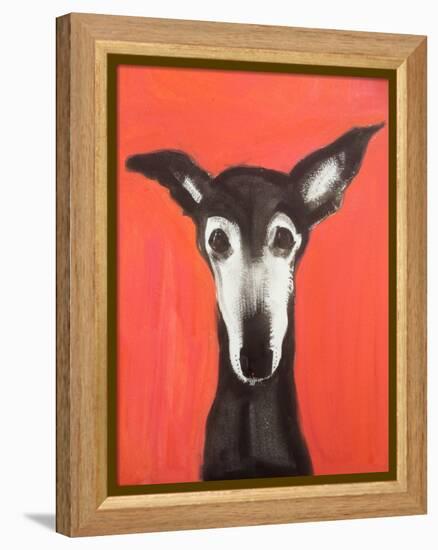 Galgo on Red-Sally Muir-Framed Premier Image Canvas