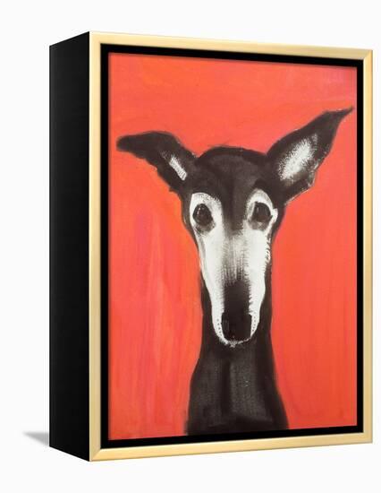 Galgo on Red-Sally Muir-Framed Premier Image Canvas